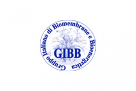 Congresso Nazionale GIBB Congresso Nazionale GIBB