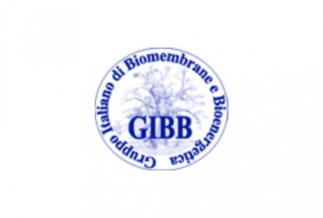 Congresso Nazionale GIBB