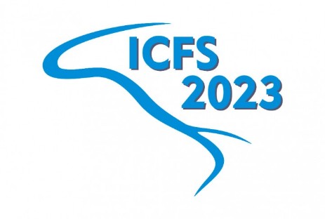 Conferenza Internazionale Sedimentologia Fluviale