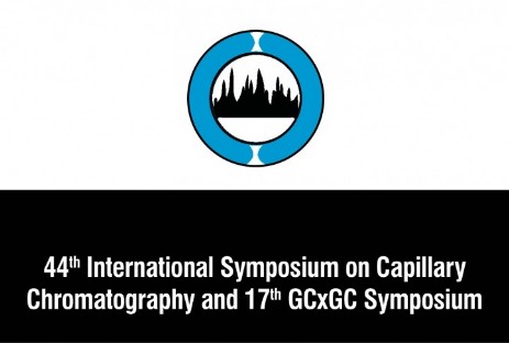 International Symposium on Capillary